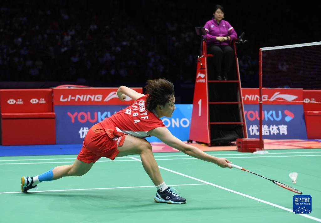 布莱顿提供 布莱顿提供